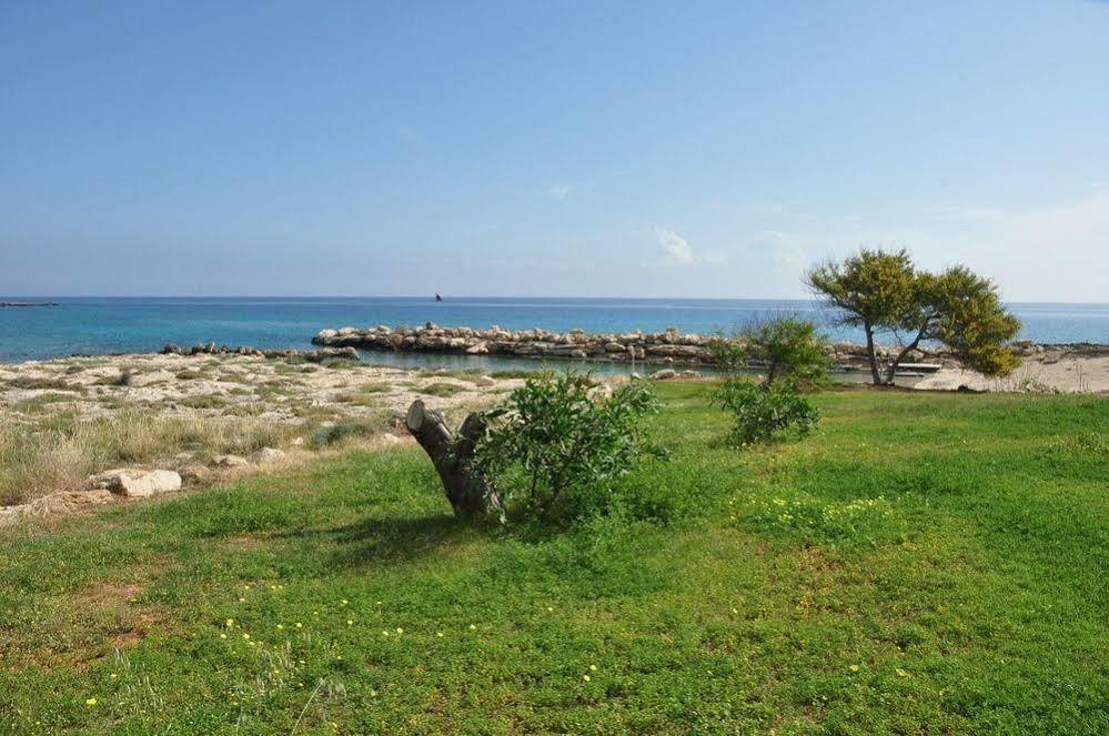 Harry'S Hotel Protaras Exteriér fotografie
